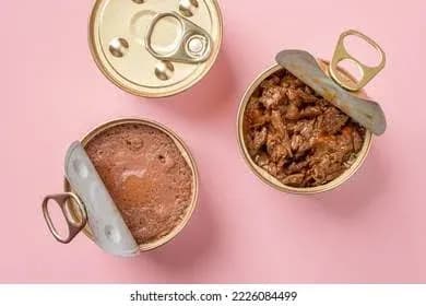 Wet Cat Food